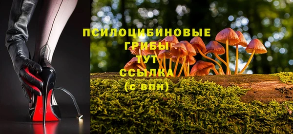 тгк Богданович