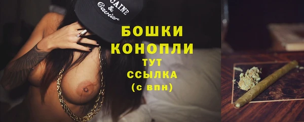 тгк Богданович