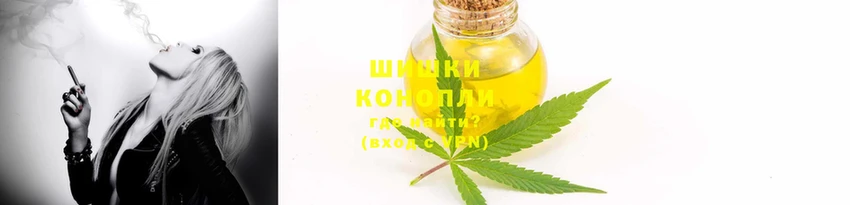 тгк Богданович