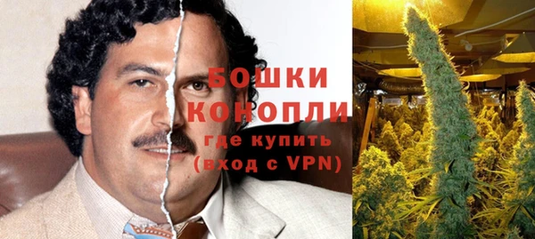 тгк Богданович