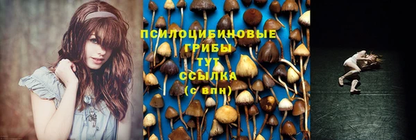 метадон Богородск