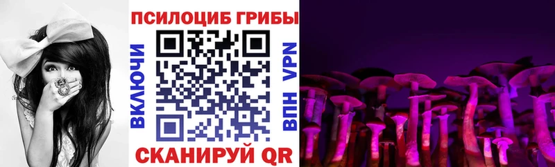 Псилоцибиновые грибы ЛСД  Купить где  Кяхта 