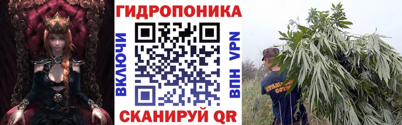Бошки Шишки THC 21%  Купить закладки  Кяхта 